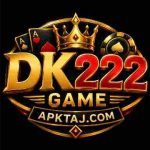 DK222 Game Logo Screenshot