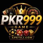PKR999 Game Logo