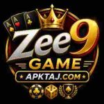 Zee9 Game Logo Screenshot